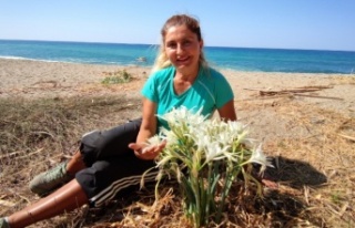 Bu çiçeği koparmak bir servete mal oluyor