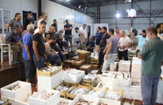 Denizde av sezonu açıldı, Antalya'da ilk balıklar...