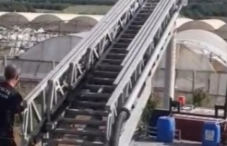 Elektrik teline takılan serçeyi itfaiye ekipleri...