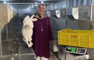 Emekli kadın polis hobi olarak başladığı tavşan...