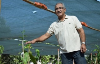 Emekli okul müdüründen tropikal meyve bahçesi