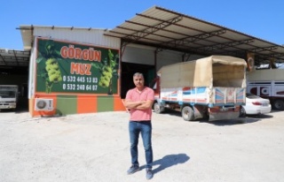 Kestel'e 'Fanatik' muz tesisi