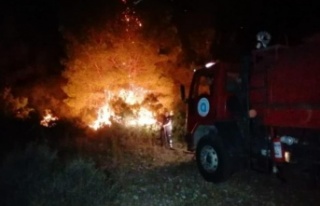 Manavgat'ta gece korkutan orman yangını