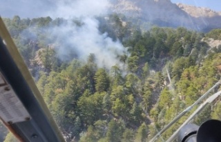 Orman yangını büyümeden söndürüldü