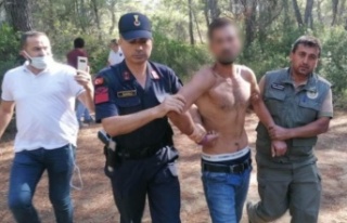 Ormanı yakarken suçüstü yakalanan zanlı tutuklandı