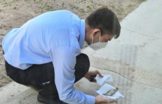 Restoran camına çarpan serçe, başkanın makam...