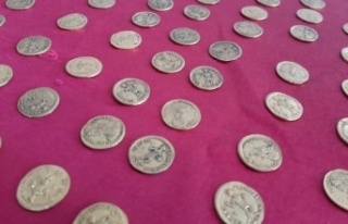 Roma dönemine ait 556 adet sikke ele geçirildi