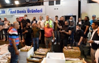 Sezonun ilk balık mezatı yapıldı, bir kasa barbun...