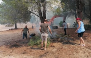 Vatandaşlar ellerinde dallar ve yerden topladıkları...