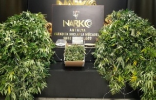 2 İranlı kiraladıkları villayı uyuşturucu serasına...