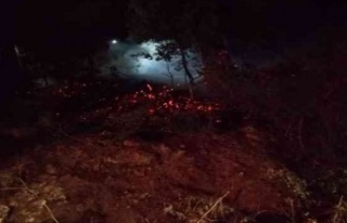 3 ayrı yerde eş zamanlı çıkan yangın büyümeden...