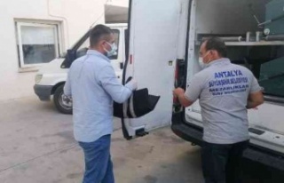 49 günlük Umut bebek yatağında ölü bulundu