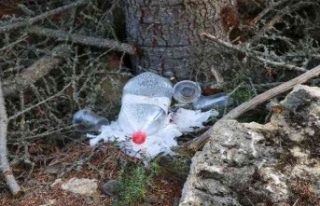 4 hektarlık alanın kül olduğu ormandaki o görüntüler...