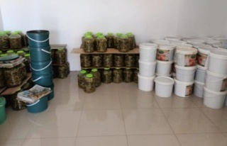 7,5 ton sağlıksız turşu ve salça ele geçirildi