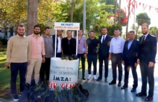 AK gençler Alanya'da fidan dağıttı