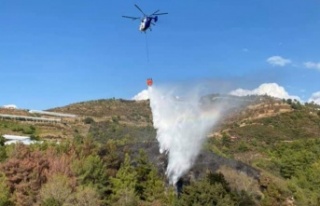 Alanya'da 2 noktada korkutan yangın