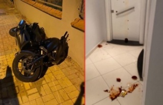 Alanya'da alkolik kadın çevreye korku salıyor