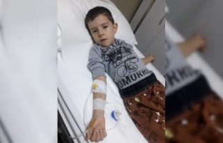 Alanya'da çocuklara neler oluyor?