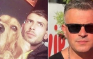 Alanya'da köpek kavgası: 1 ölü, 1 yaralı...