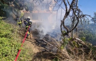 Alanya'da korkutan bahçe yangını