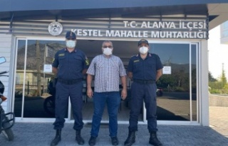 Alanya'da muz ve avakado hırsızlarına karşı...