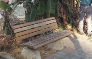 Alanya'da yok artık dedirten hırsızlık olayı