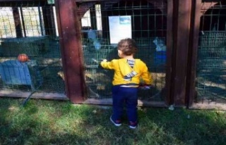 Anka Kuşları projesinde çocuklar son kez bir arada