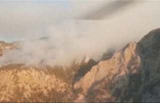 Antalya'daki 2 yangına havadan ve karadan müdahale...