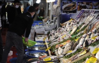Balık tezgahlarında lüfer bolluğu devam ediyor