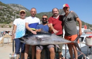 Balıkçıların dev orkinos ile 4 saat süren mücadelesi