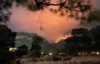 Düşen yıldırım yangın çıkardı