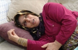 Eşek yüzünden husumeti bulunan komşusu yaşlı...