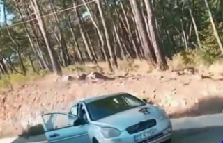 Feci kaza! Otomobil ağaca çarptı: 1 ölü, 1 yaralı
