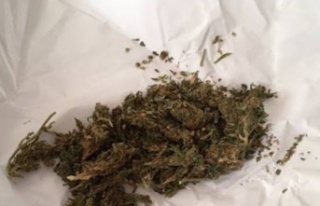 Jandarmadan esrar operasyonu