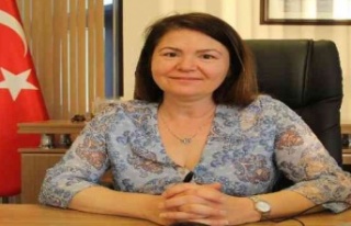 Karaya vuran yalancı katil balına Atlantik'ten...