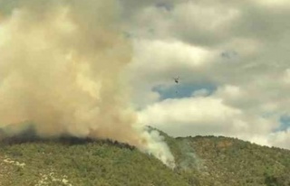 Korkutan orman yangını! Ekipler müdahale ediyor