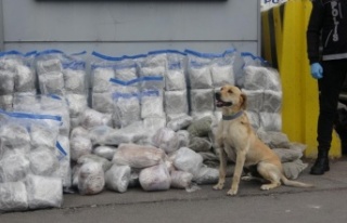 Nakliye süsüyle uyuşturucu ticareti: 100 kilo uyuşturucu...