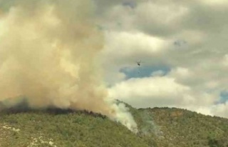 Orman yangını kontrol altına alındı