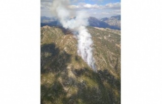 Orman yangınına 15 helikopter 3 uçak desteği