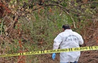 Portakal bahçesindeki korkunç ölümde Rusça mesaj...