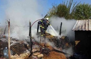 Saman dolu ağılda yangın: 15 koyun telef oldu