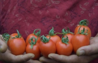 Üreticide 13, markette 23 TL