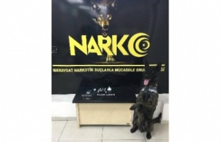 Uyuşturucu madde ile yakalanan 2 şüpheli tutuklandı