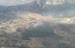 Yangında 10 dönüm alan zarar gördü