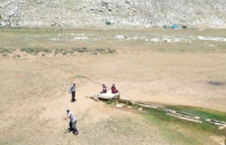 Yaylada drone gören çoban sopa ile drone kovaladı