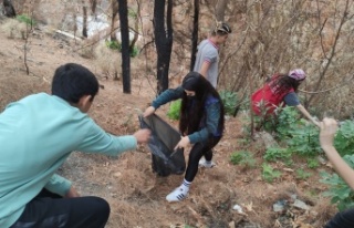 Alanya Gençlik Merkezi'nden çevre temizliği