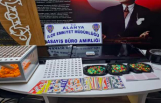 Alanya’da kumar baskını