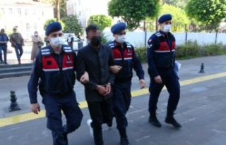 Antik kentte yürüyen turistleri 'Hükümet...