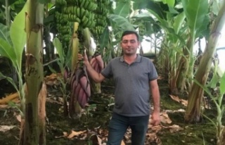 Başkan Göktepe'den Ankara'ya çağrı