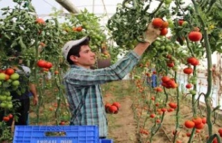 Batı Akdeniz ihracatında rekor